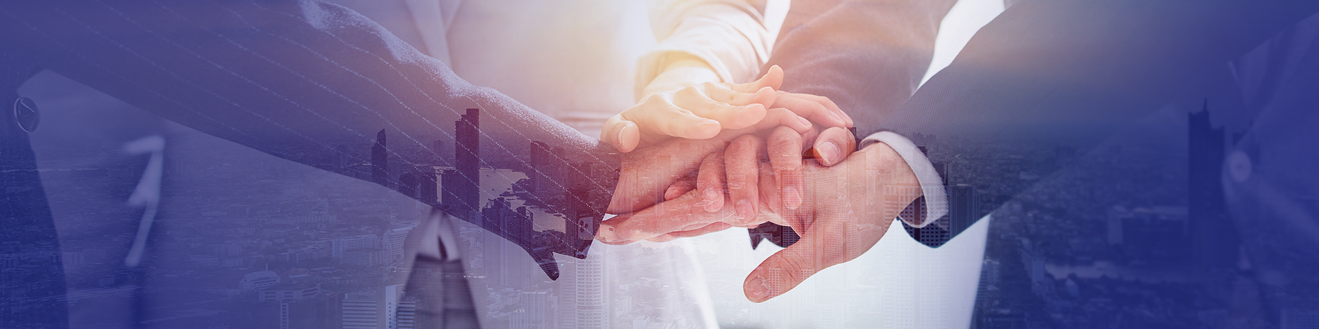 让企业采购阳光、降本、增效 让企业采购阳光、降本、增效